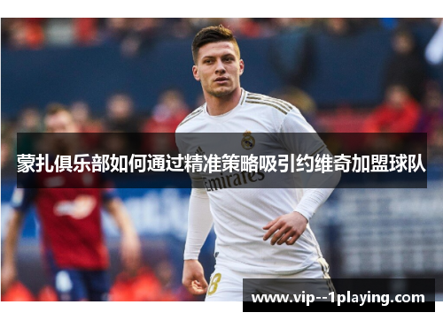 蒙扎俱乐部如何通过精准策略吸引约维奇加盟球队